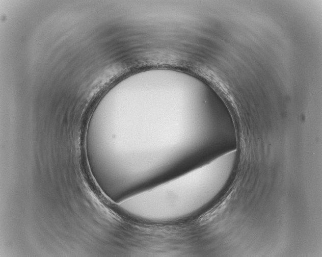 X0000089950629200706290836