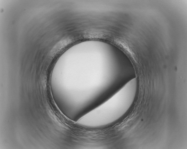 X0000089950631200706290836