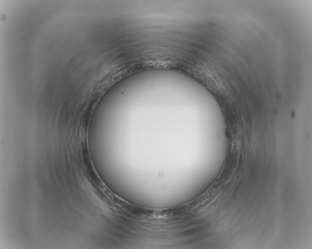 X0000089950647200706290836