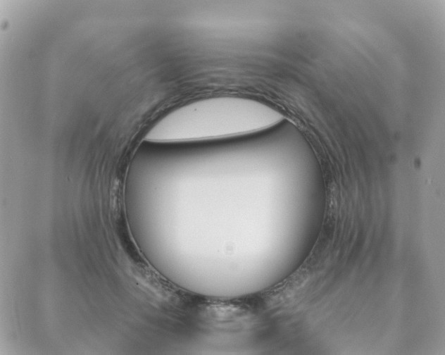 X0000089950650200706290837