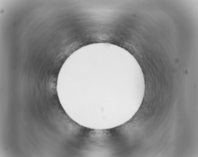 X0000089950672200706290837
