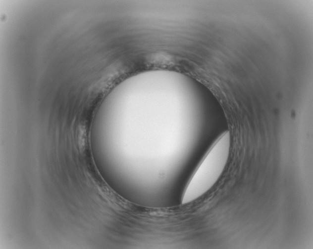 X0000089950708200706290836