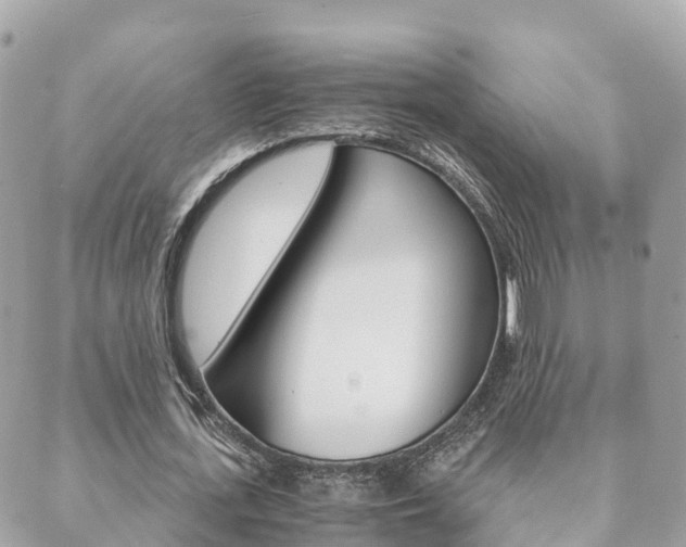 X0000089950723200706290835