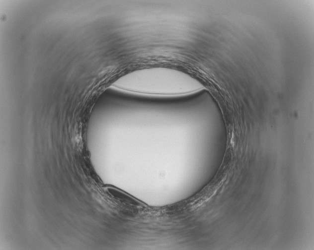 X0000089950771200706290835