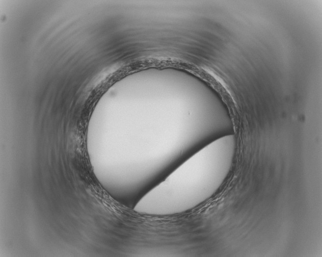 X0000089950823200706290833