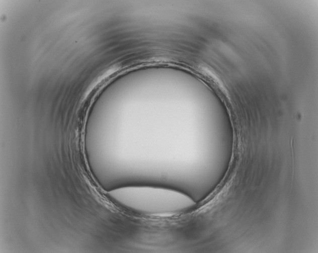 X0000089950827200706290833
