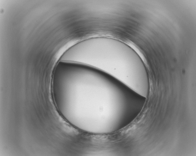 X0000089950861200706290834