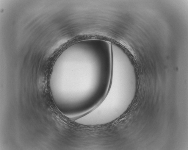 X0000089950872200706290833