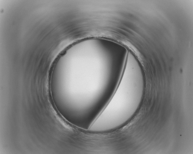 X0000089950894200706290833