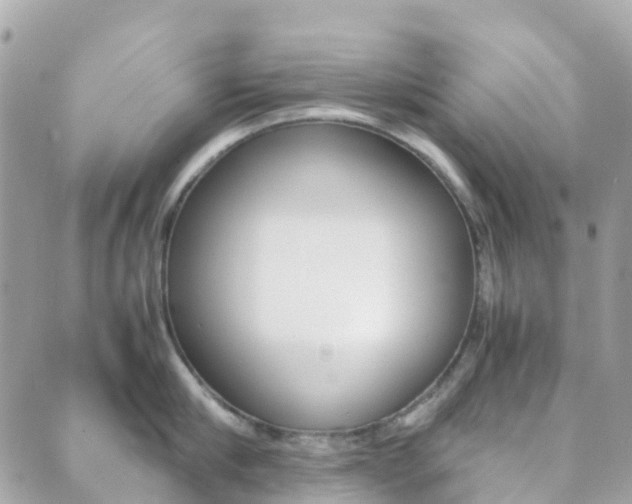 X0000089950910200706290832