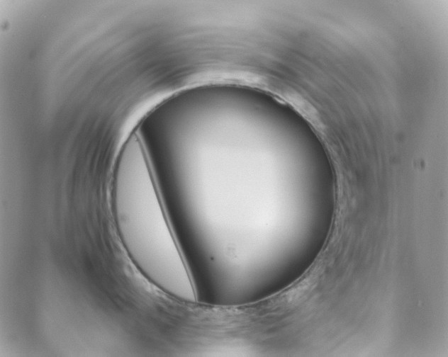 X0000089950912200706290832