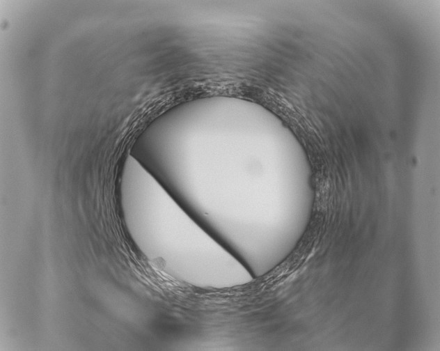 X0000089950913200706290831