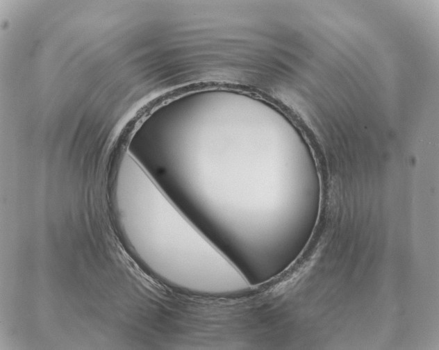 X0000089950923200706290832