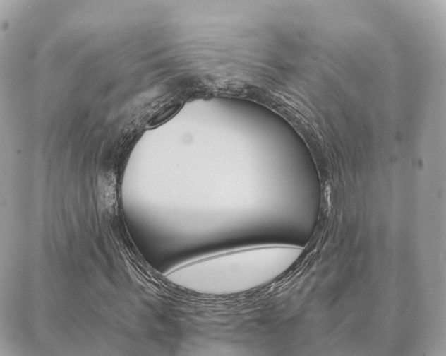 X0000089950963200706290831