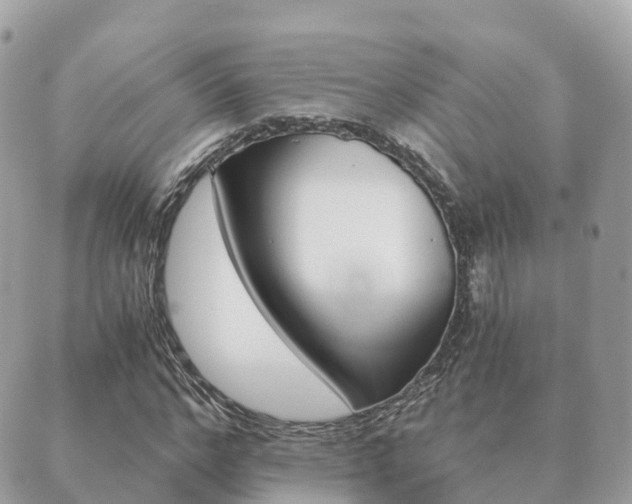 X0000089950968200706290831