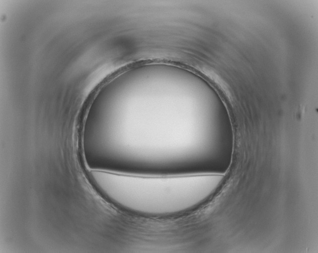 X0000089950983200706290831