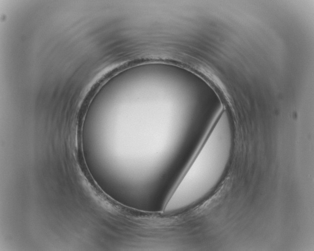 X0000089950984200706290831