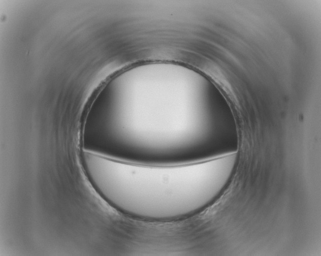 X0000089950992200706290831