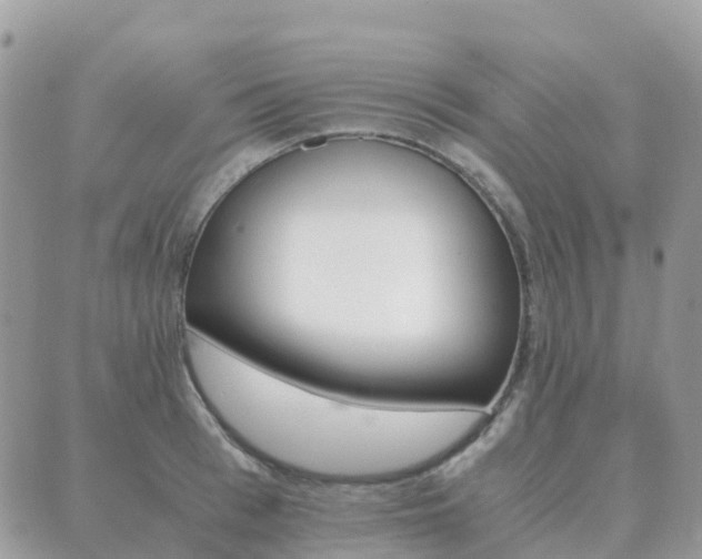 X0000089950993200706290831