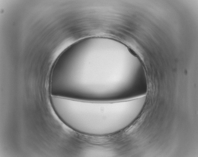 X0000089951007200706290831