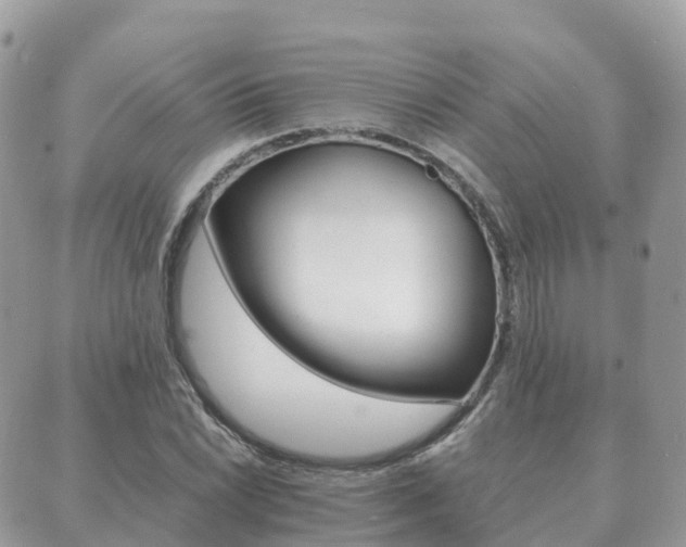 X0000089951022200706290830
