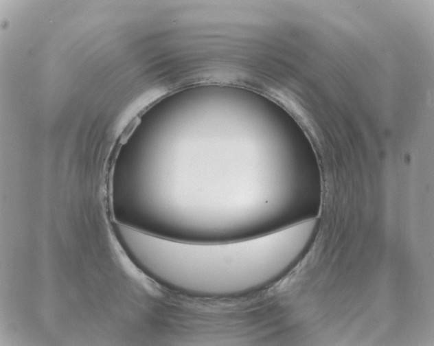X0000089951042200706290830