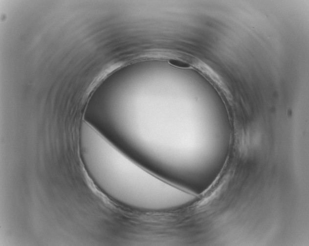 X0000089951049200706290831