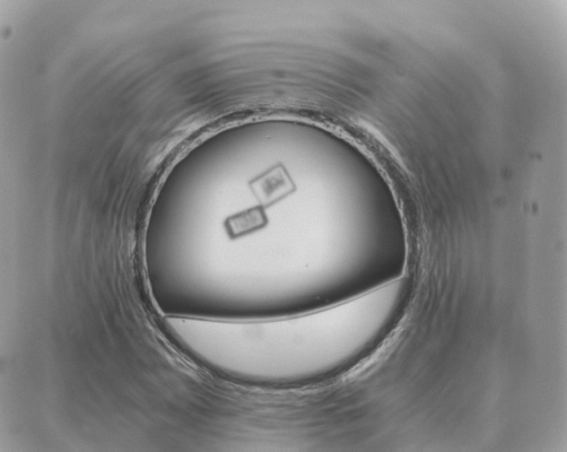 X0000089951065200706290830