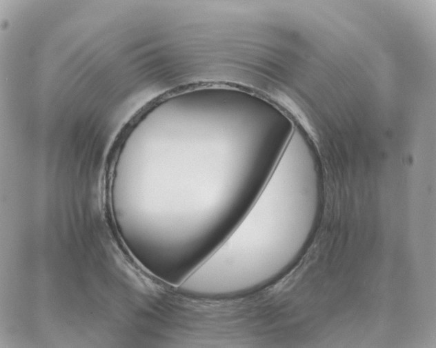 X0000089951076200706290830