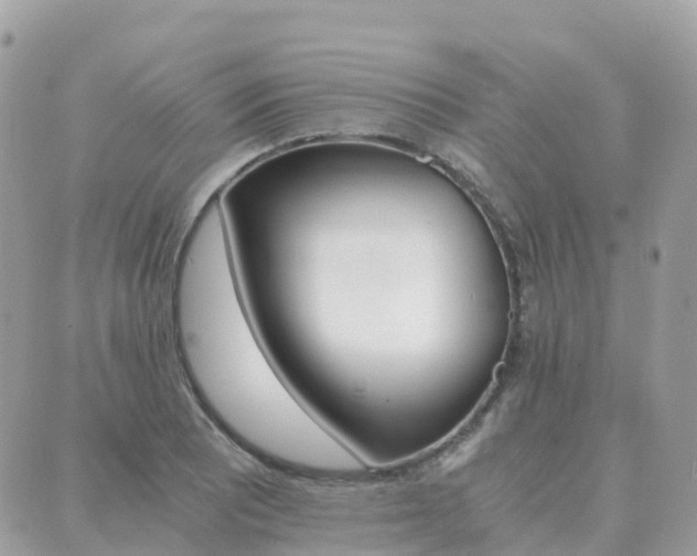 X0000089951081200706290829