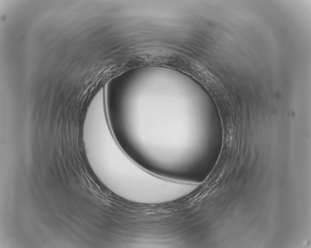X0000089951108200706290828