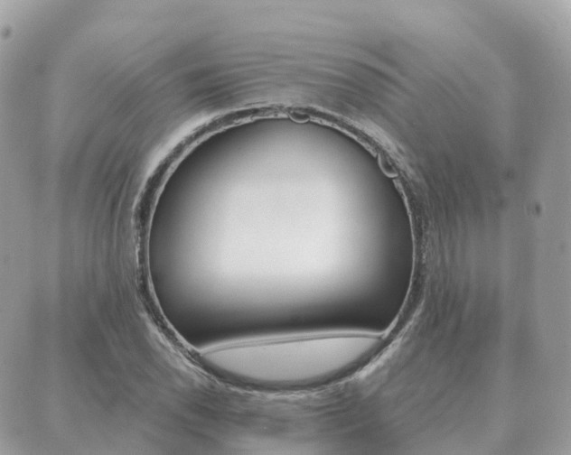 X0000089951118200706290829