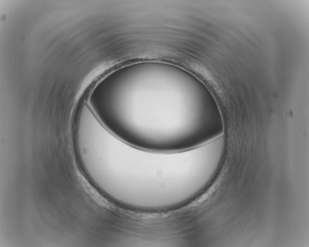 X0000089951122200706290829