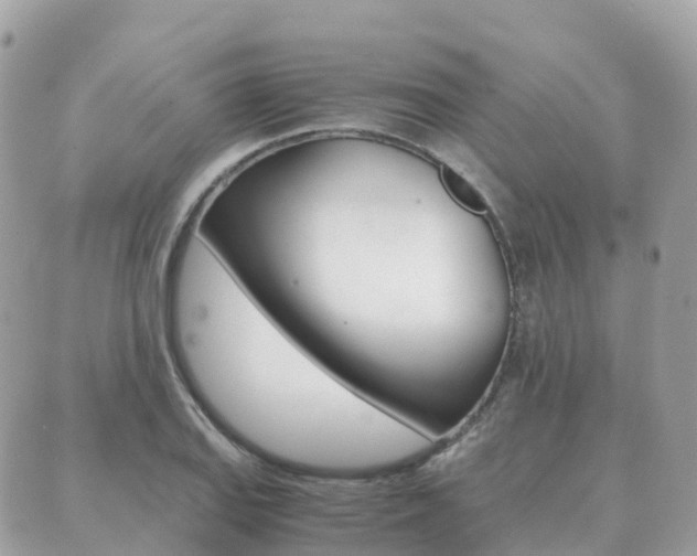 X0000089951127200706290829
