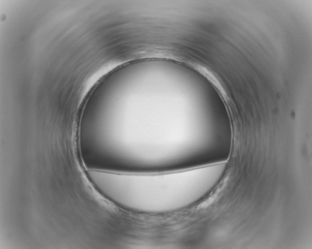 X0000089951149200706290829
