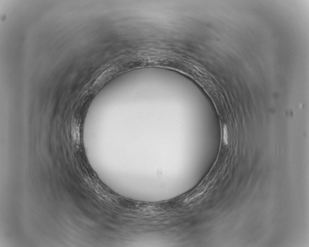 X0000089951155200706290828