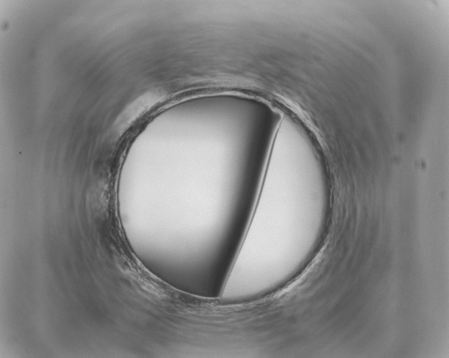 X0000089951163200706290828