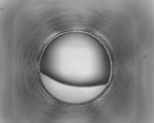 X0000089951169200706290828