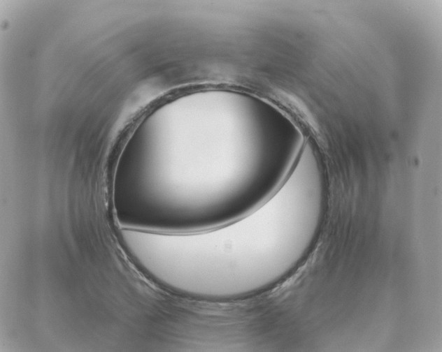 X0000089951172200706290828