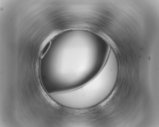 X0000089951196200706290828