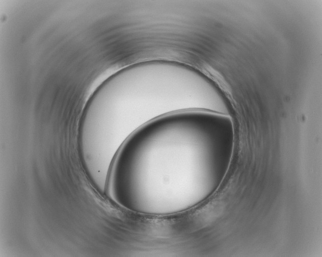 X0000089951226200706290827
