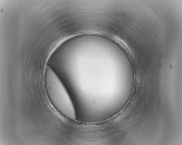 X0000089951236200706290827