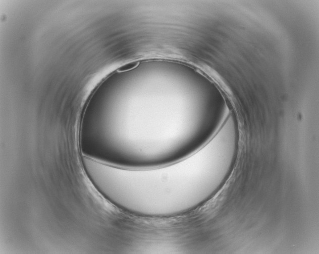 X0000089951246200706290828