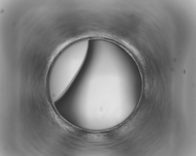 X0000089951272200706290826