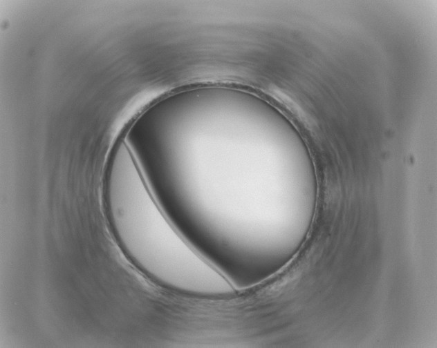 X0000089951277200706290826