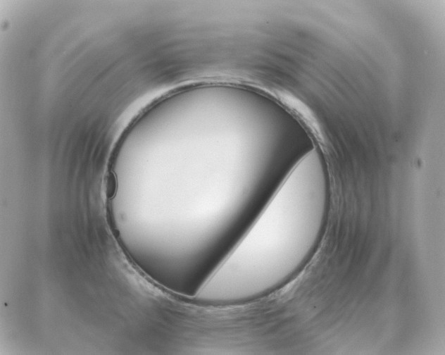 X0000089951288200706290826