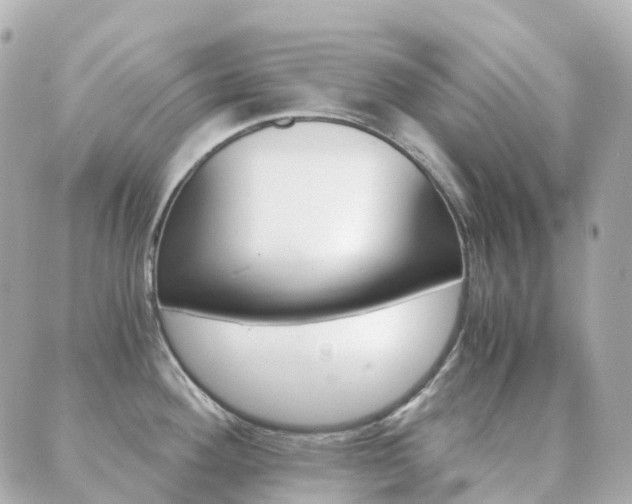 X0000089951292200706290826