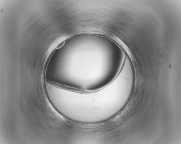 X0000089951293200706290826