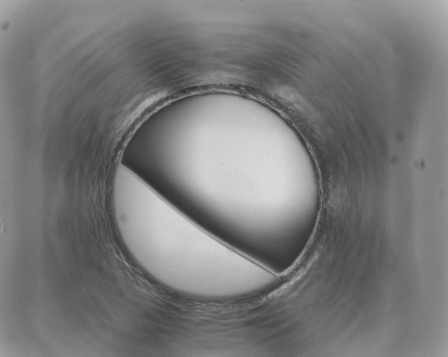 X0000089951313200706290825