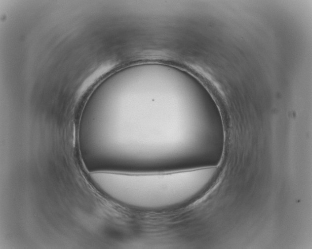 X0000089951317200706290826